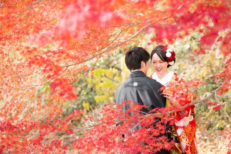 紅葉シーズンです！
