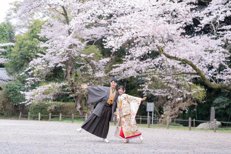 <延長決定!>春のロケーションキャンペーン