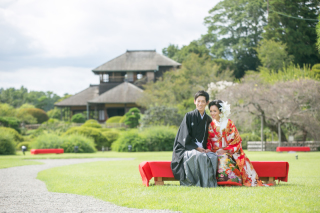 新プラン登場！