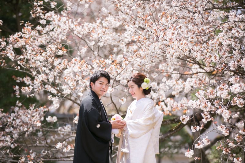 【2/21更新】偕楽園の桜開花情報！！