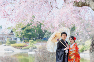 花田苑の桜