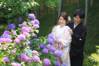 6月のご予約状況について