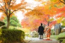 ☆昨年の紅葉の写真です☆