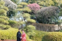 梅が咲く２月の花田苑の様子