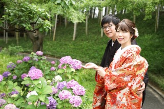 6月は紫陽花の季節です！