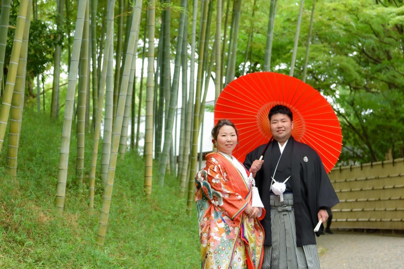 紫陽花がきれいです！