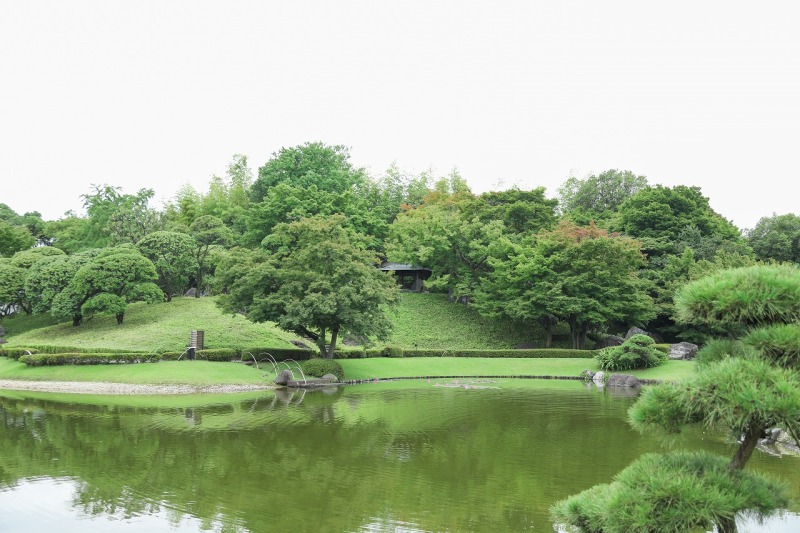 ✿最近の庭園状況✿