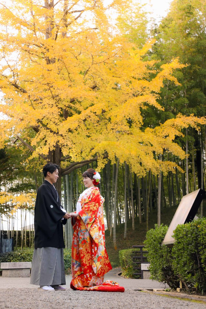 最近の花田苑