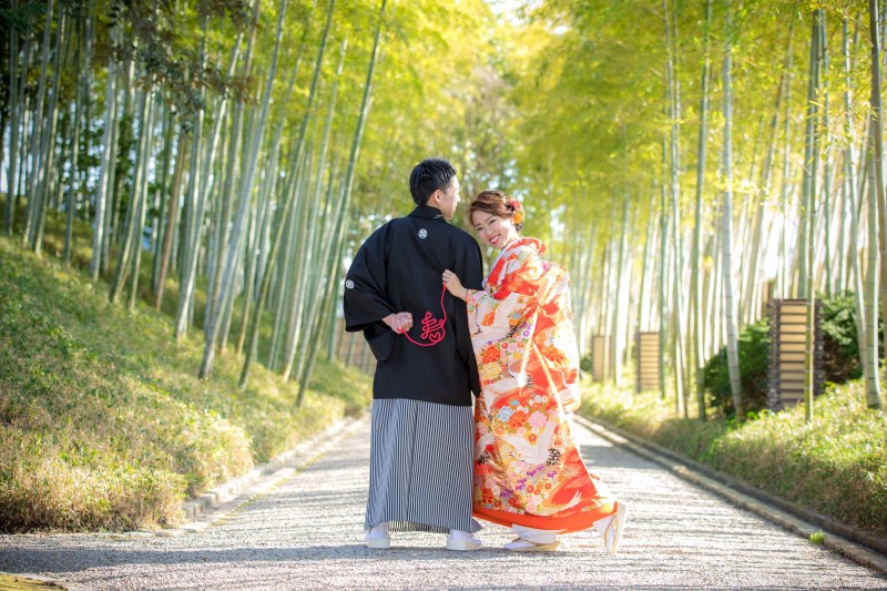 人気の弐点プラン