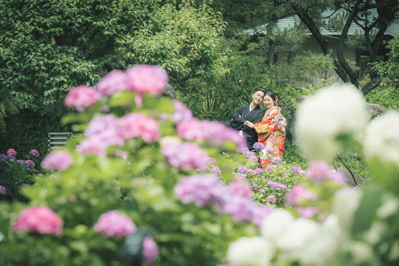 紫陽花の時期のご予約お早めに！