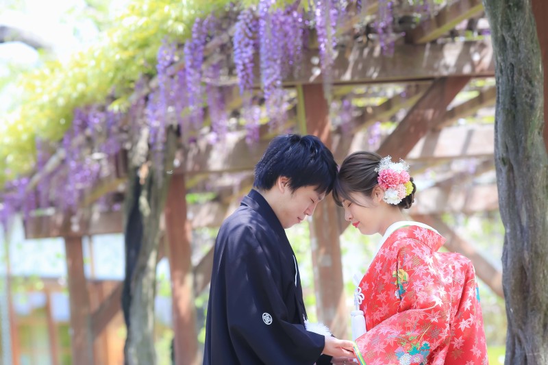 新緑の季節のご案内
