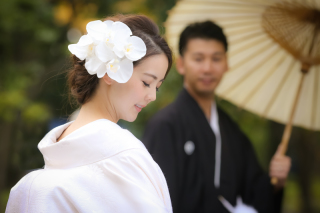 胡蝶蘭の花言葉は（　＾&omega;＾）・・・