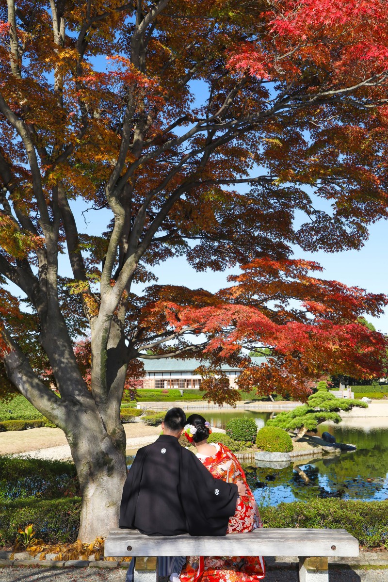 今年の紅葉です♪”