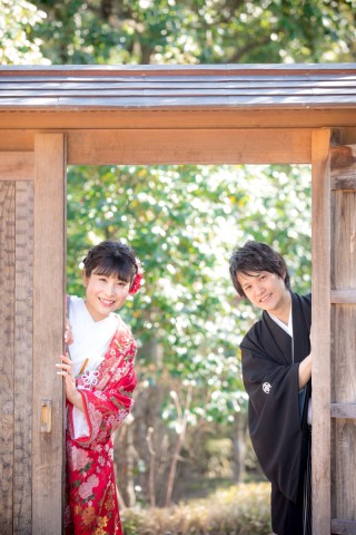 ひょっこり☆彡