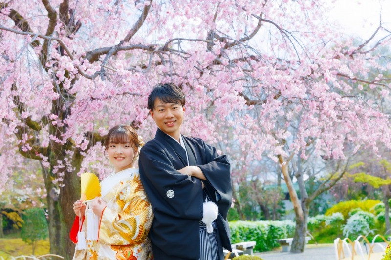 花田苑で桜のお写真撮れます♪