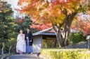 ♪来店相談特典のご案内♪