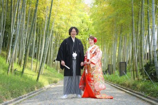 新緑の季節です！