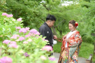 紫陽花がきれいです！