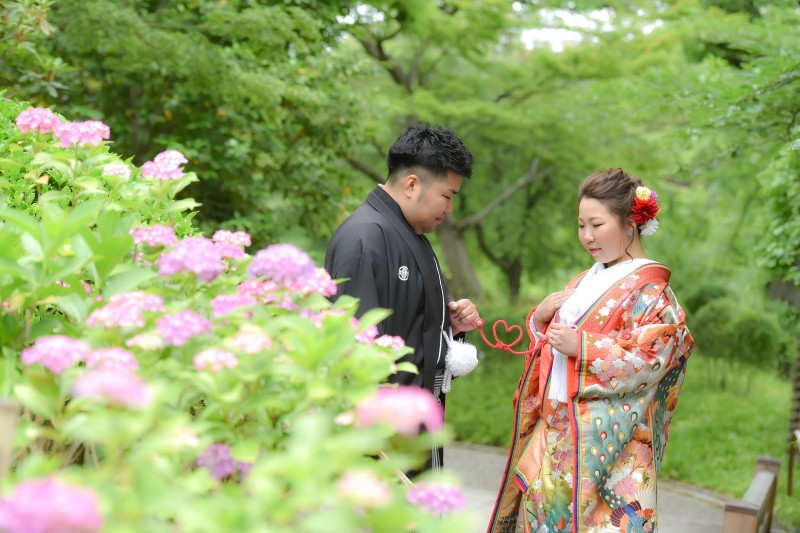 紫陽花がきれいです！