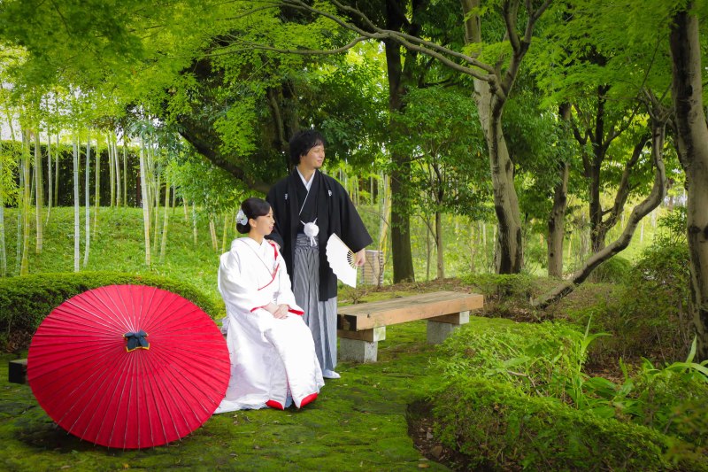 夏の終わりの緑