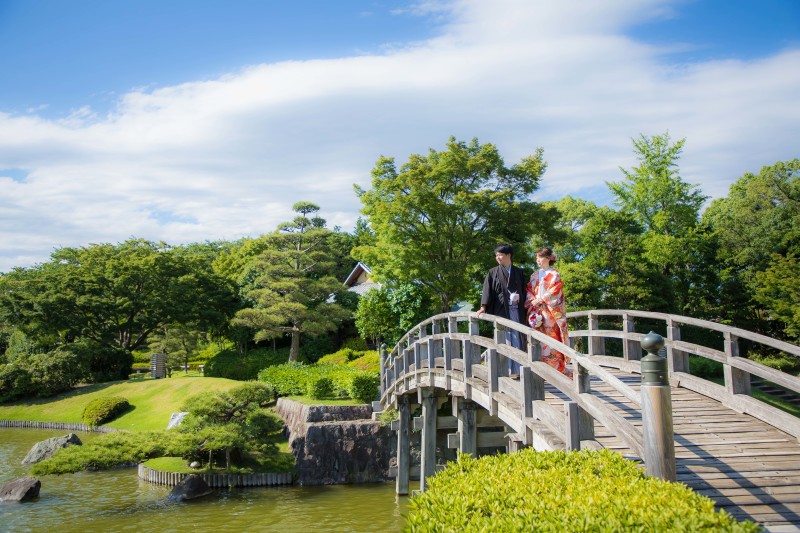 これからは紫陽花の季節です!