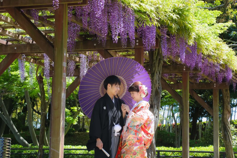 藤の花について