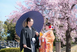 桜の季節です～