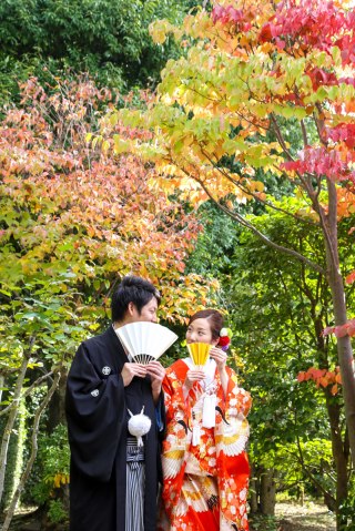 そろそろ紅葉?