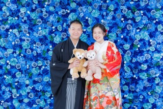 当店の撮影スポット【青い花壁】