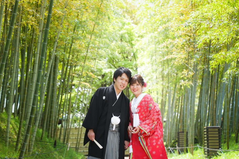 新緑の季節のご案内