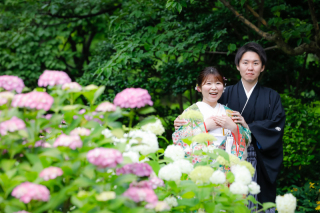 紫陽花シーズン到来♪