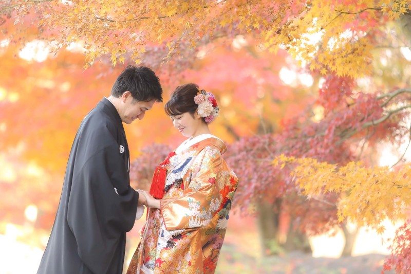 ☆昨年の紅葉の写真です☆