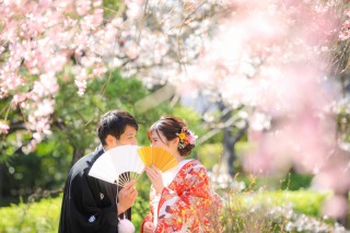 桜の季節のご予約状況について