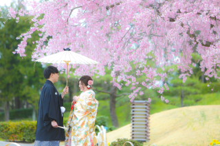 そろそろ桜の時期ですね♪