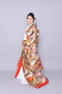 一番人気のロケとスタジオの弐点プラン