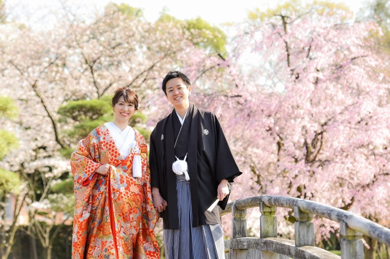 桜が見頃を迎えました