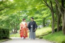 新緑がおすすめ！