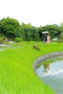 池に映る姿