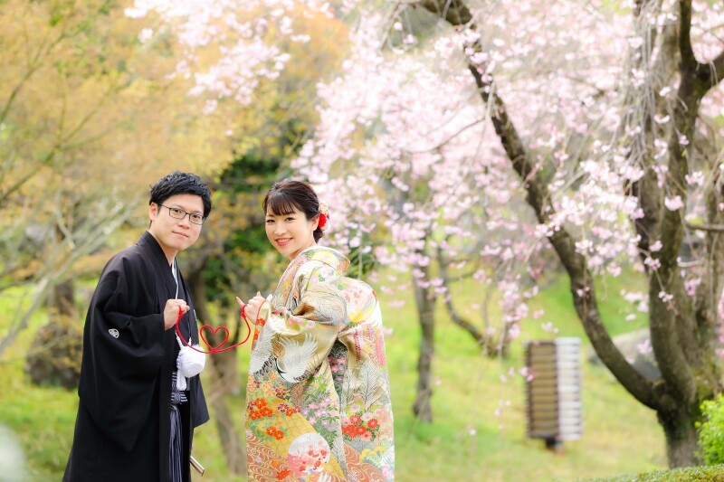 桜が綺麗でした！