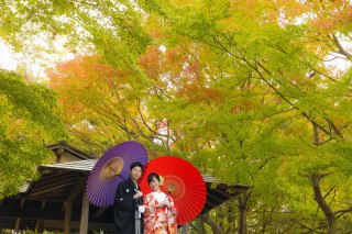 紅葉