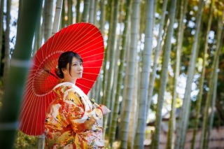 白無垢&times;色打掛で叶える、静と動の美しいコントラスト