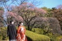 3月になりましたね☆