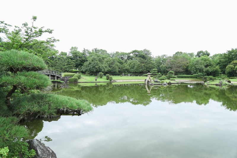 ✿最近の庭園状況✿