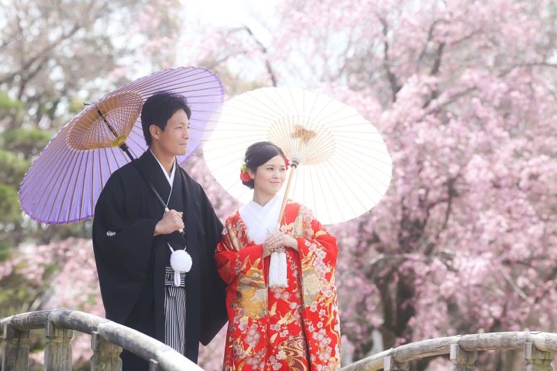 昨年の桜の時期のお写真です！