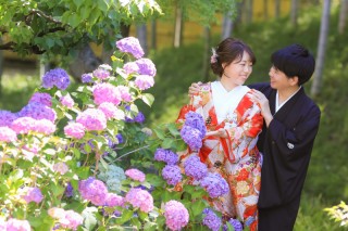 これからは紫陽花の季節です！