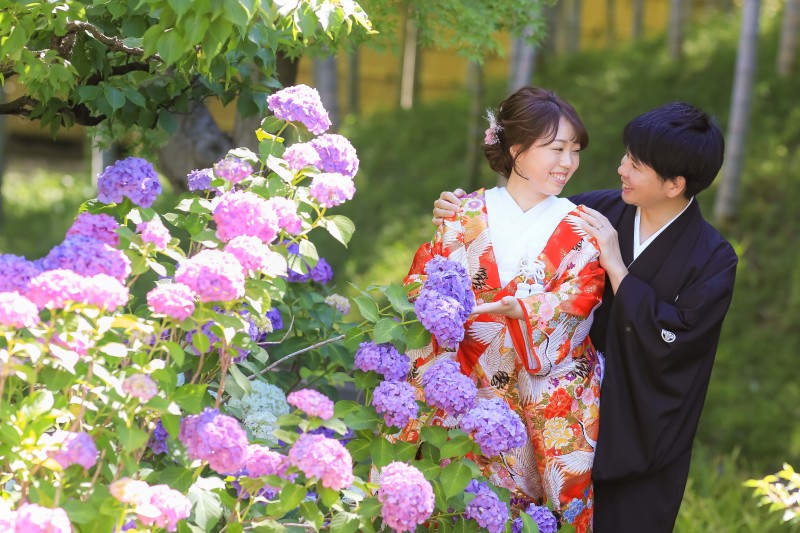 これからは紫陽花の季節です!