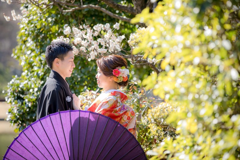 人気の弐点プラン
