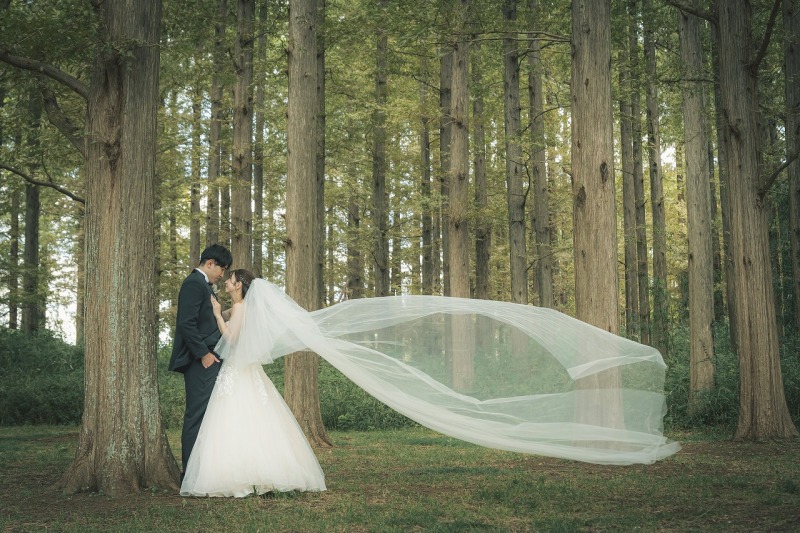 広大で豊かな自然がたくさん～水元公園～