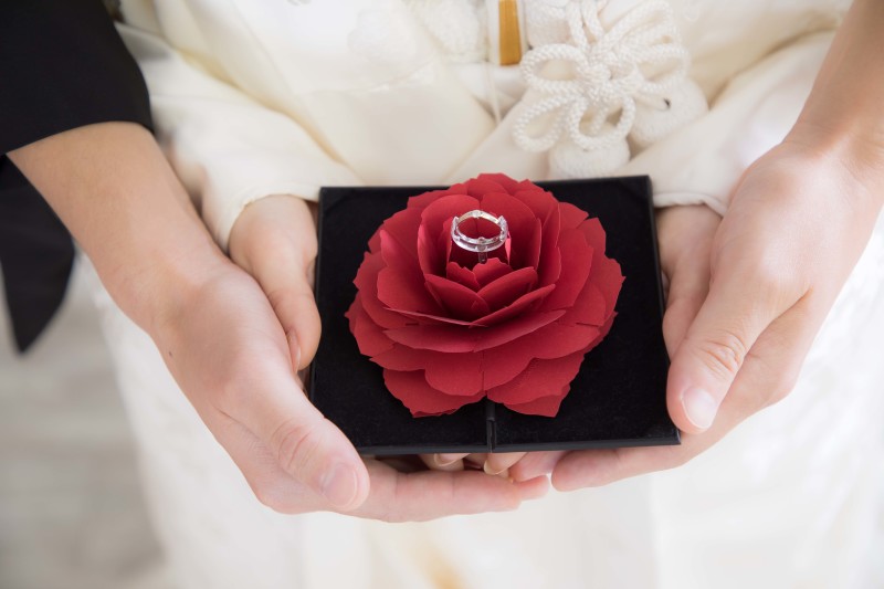これからは紫陽花の季節です!
