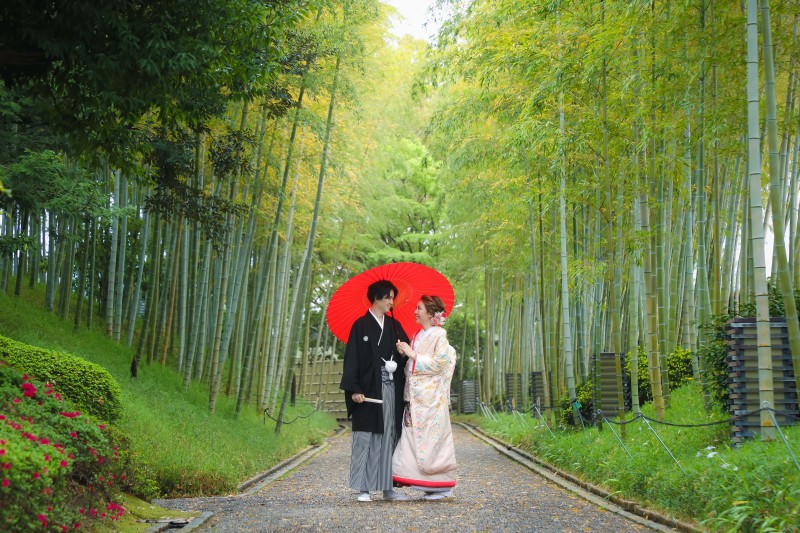 新緑の季節のご案内